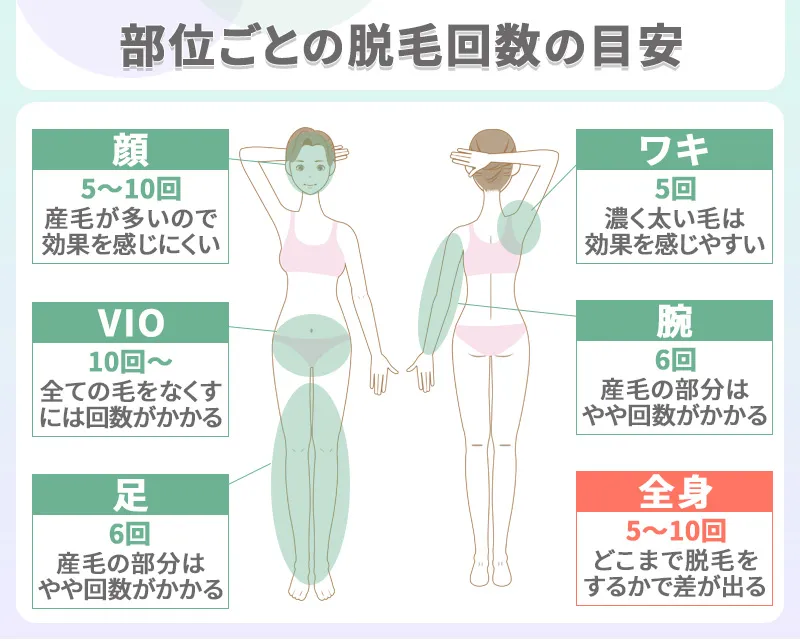 部位別の脱毛の目安回数